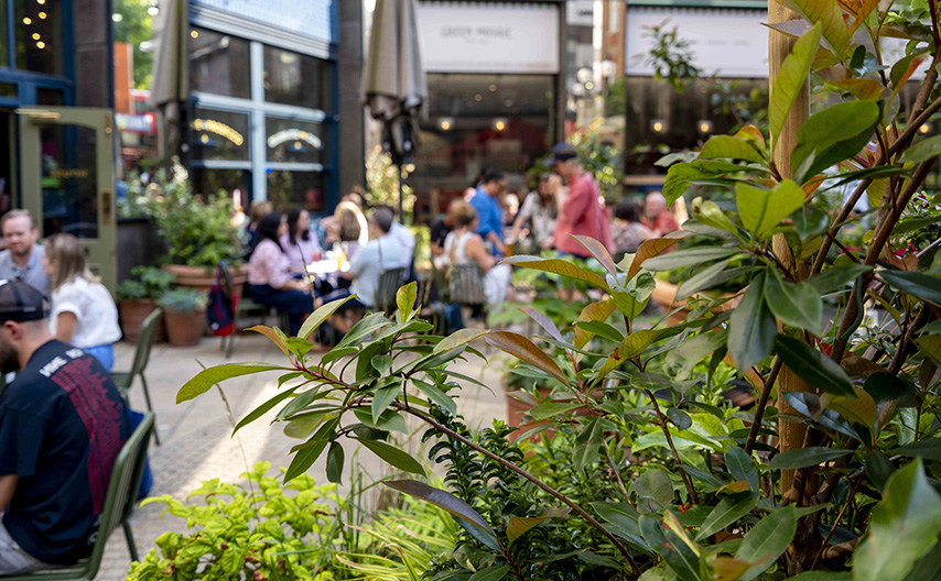 Bradmore Square grid of images 1 