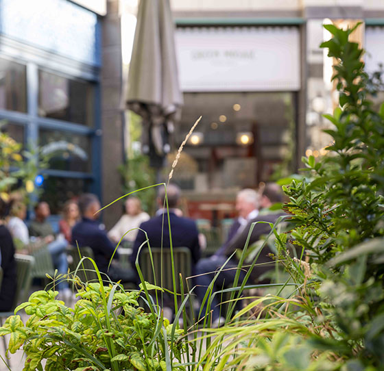 Bradmore Square grid of images 3